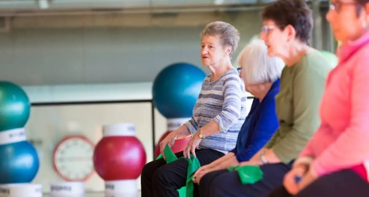 Seated Gentle Exercise
