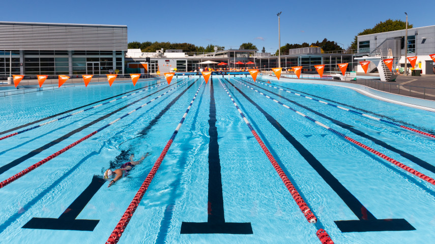 Pool 169 Fillwzg1nsw0odfd